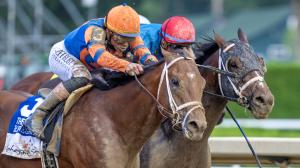 Renegade, Commandment, 2026 Jim Dandy Stakes, Saratoga Race Course
